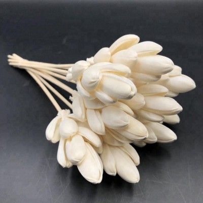 Wooden Artificial Sola Flower for Aroma Reed Diffuser Glass Bottle